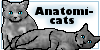 Anatomicats's avatar