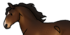 Andellon-Horse's avatar