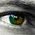Andyghost :iconandyghost: