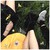 andyjuela :iconandyjuela: