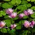 Angel-Author :iconangel-author: