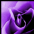 Angel-De-Amor :iconangel-de-amor:
