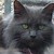 Angel-Lainey :iconangel-lainey: