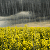 Angeleece1626 :iconangeleece1626: