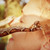 Angelina-LG :iconangelina-lg: