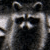 :iconangelsodyssey: