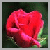 angelspast :iconangelspast: