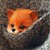 AngryBirdsisFan :iconangrybirdsisfan: