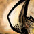 anigmator :iconanigmator: