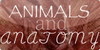 Animals-and-Anatomy's avatar