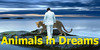 Animals-In-Dreams's avatar