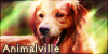 Animalville's avatar