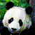 AnimeFreak211 :iconanimefreak211: