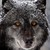 AnitaBright :iconanitabright: