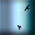 AnnaBrook :iconannabrook: