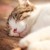 AnnaMyriam :iconannamyriam: