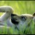 annastarz :iconannastarz: