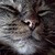 AnnMY :iconannmy: