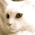 DeviantArt profile picture for @Annulled on DeviantArt