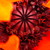 AnorHwesta :iconanorhwesta: