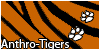 Anthro-Tigers's avatar