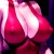 DeviantArt profile picture for @anticipation on DeviantArt