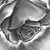 Antwanio182 :iconantwanio182:
