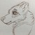 ApexsProjects :iconapexsprojects: