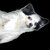applesedphotography :iconapplesedphotography: