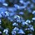 Aqua2803 :iconaqua2803: