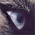 Arandomnick :iconarandomnick: