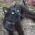 Aranel-benaway :iconaranel-benaway: