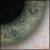 DeviantArt profile picture for @arbitrary on DeviantArt