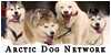 ArcticDogNetwork's avatar