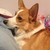 AriXAmi :iconarixami: