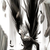:iconarkangeldeimos: