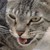 Arkrothe :iconarkrothe: