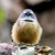 Aroha-Photography :iconaroha-photography: