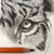 Arqums-Art :iconarqums-art: