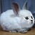 DeviantArt profile picture for @arrives on DeviantArt