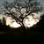 arrowsandsparrows :iconarrowsandsparrows: