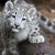art4longlast :iconart4longlast: