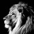 Artaniss87 :iconartaniss87: