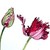 :iconartbloomingart: