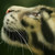 artbyans :iconartbyans: