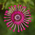 artlantis13 :iconartlantis13: