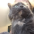 ArtsyChick9 :iconartsychick9: