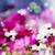 Arwen-Lanthir :iconarwen-lanthir: