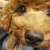 Asawackrnl0817 :iconasawackrnl0817: