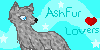 Ashfur-Lovers's avatar
